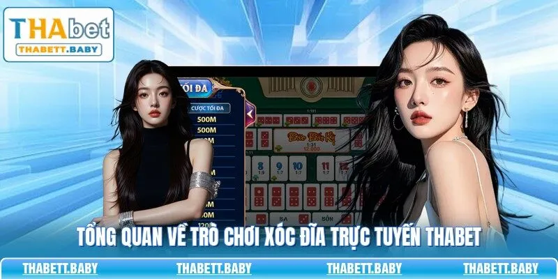 Tổng quan về trò chơi xóc đĩa trực tuyến THABET